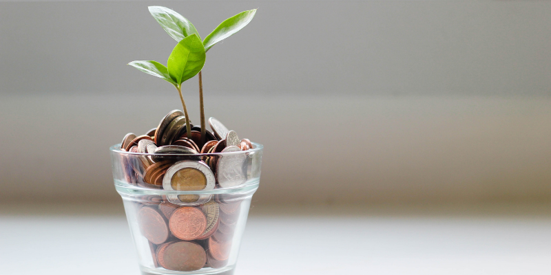 A small leafy plant sprouting out of a glass jar filled with coins